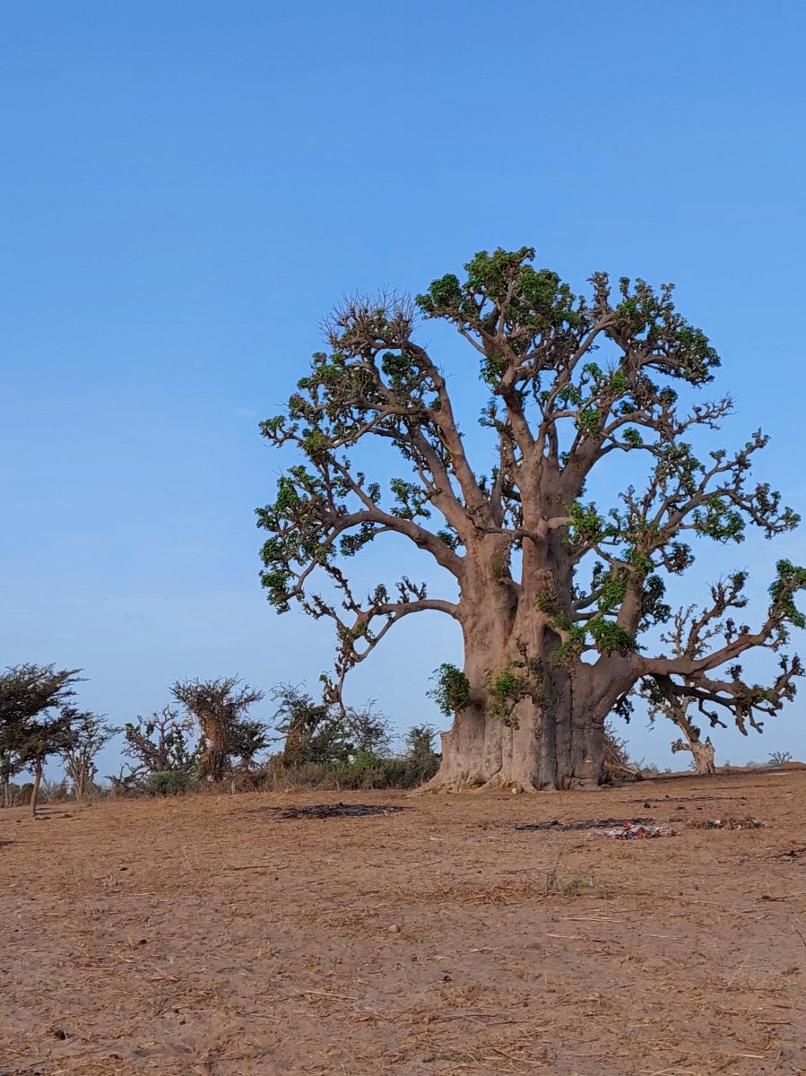 In kleinen Schritten stetig unterwegs ...