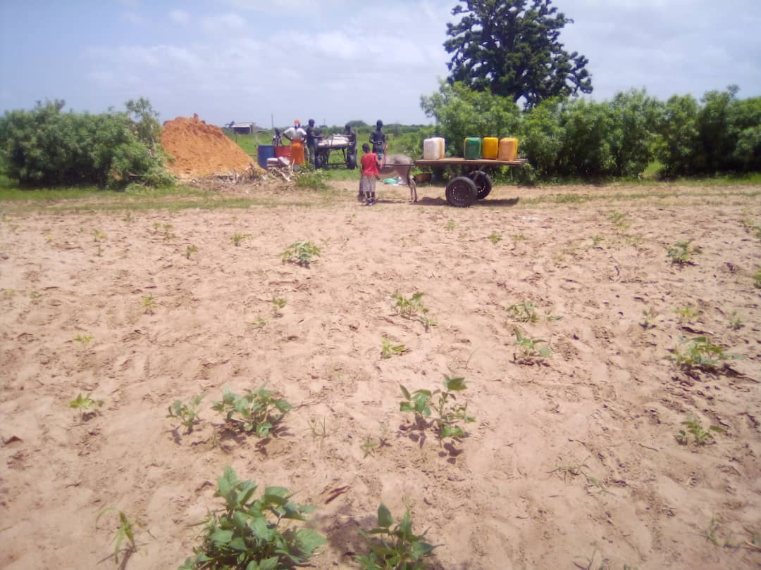 Gemeinsam mit Ihnen können wir Grosses erreichen!